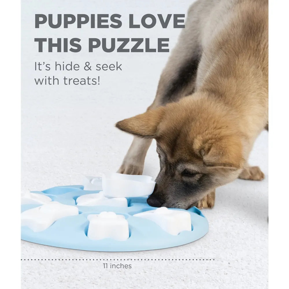 Puppy Smart