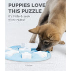Puppy Smart