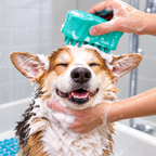 KONG ZoomGroom Bubbles L – Børste med sjampodispenser