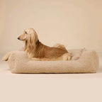 Ortopedisk hundeseng Cozy