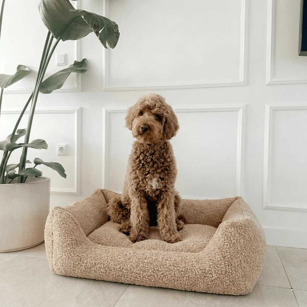 Ortopedisk hundeseng Cozy