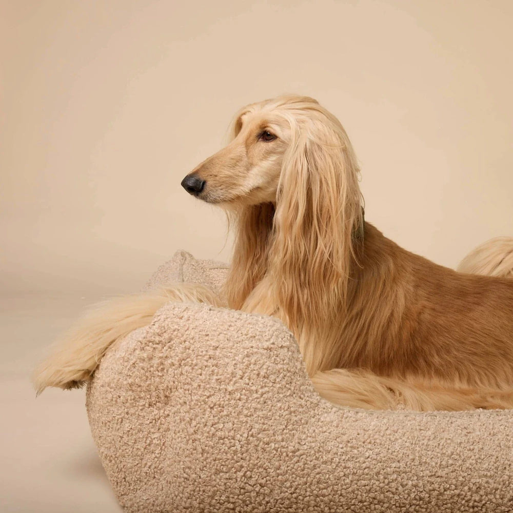 Ortopedisk hundeseng Cozy