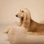 Ortopedisk hundeseng Cozy