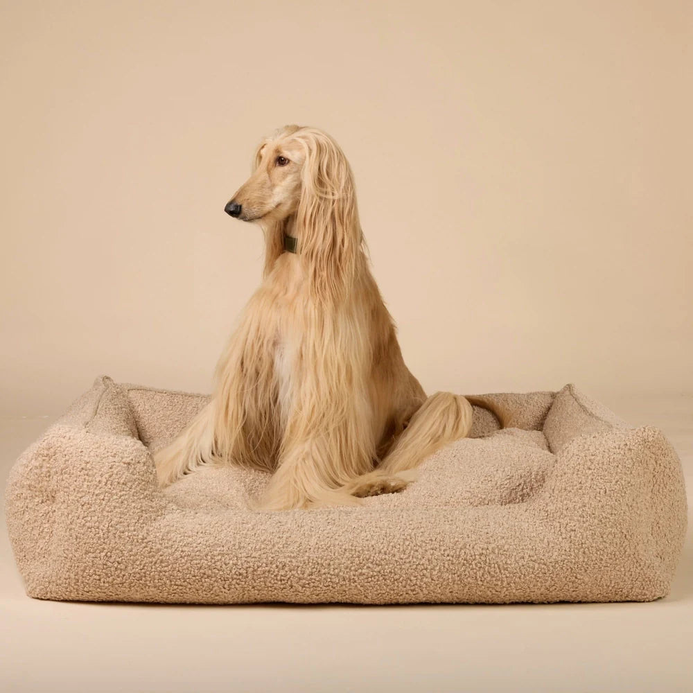 Ortopedisk hundeseng Cozy