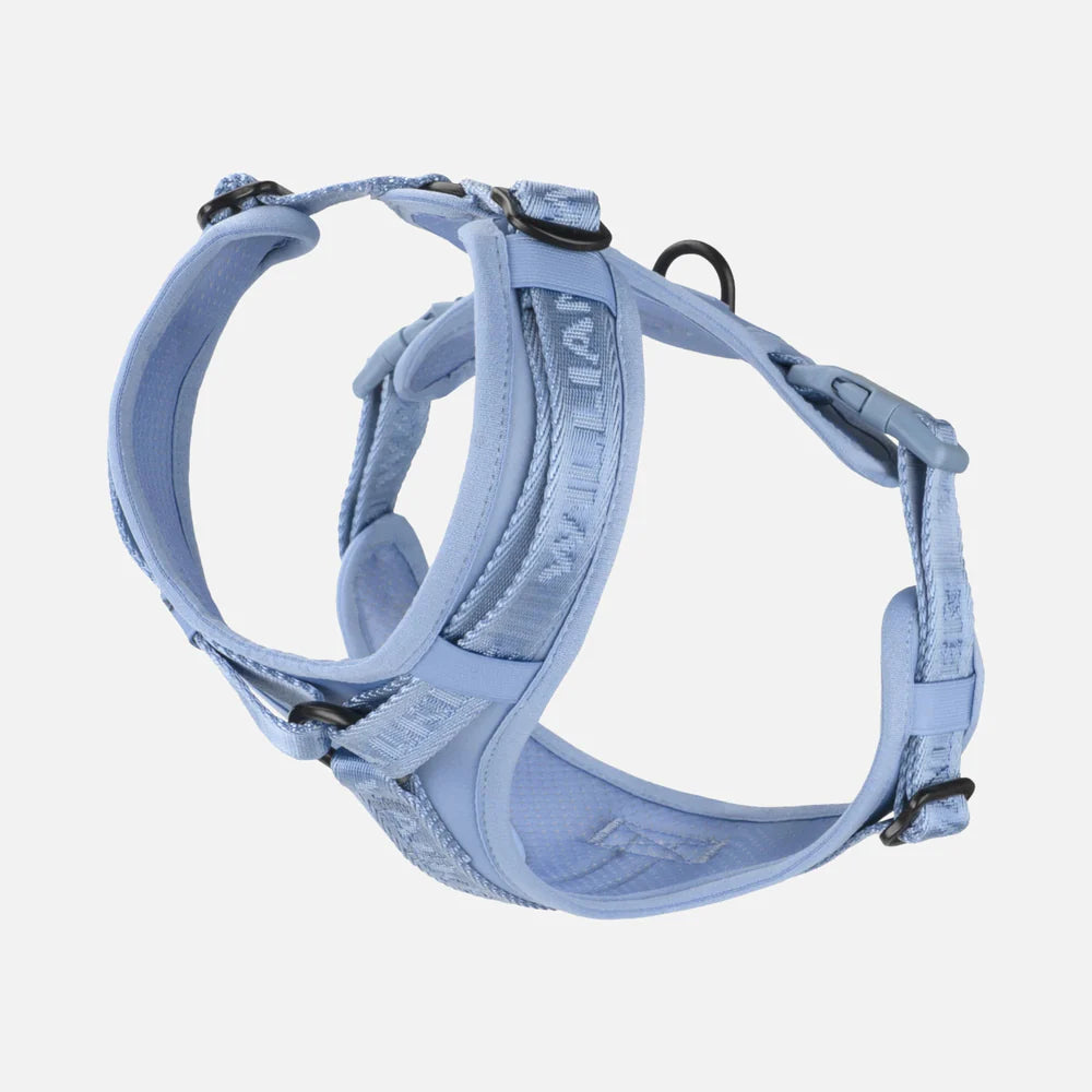 Apex Forest Y-sele