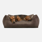 Ortopedisk hundeseng Cord Truffle