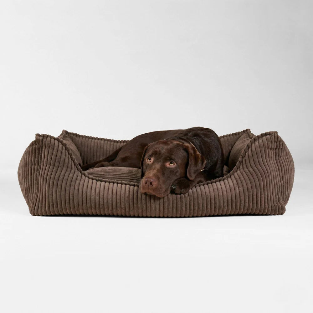 Ortopedisk hundeseng Cord Truffle