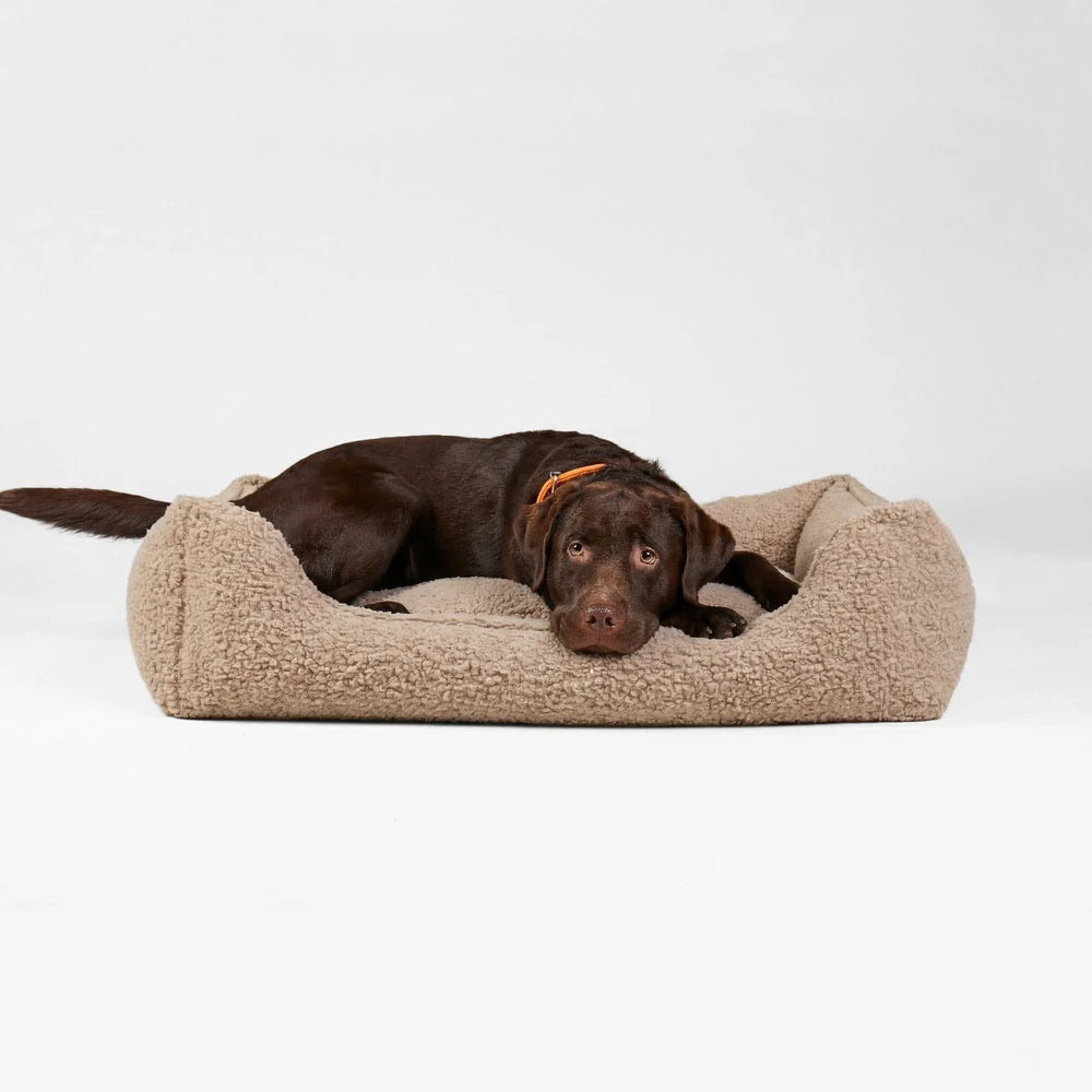 Ortopedisk hundeseng Cozy