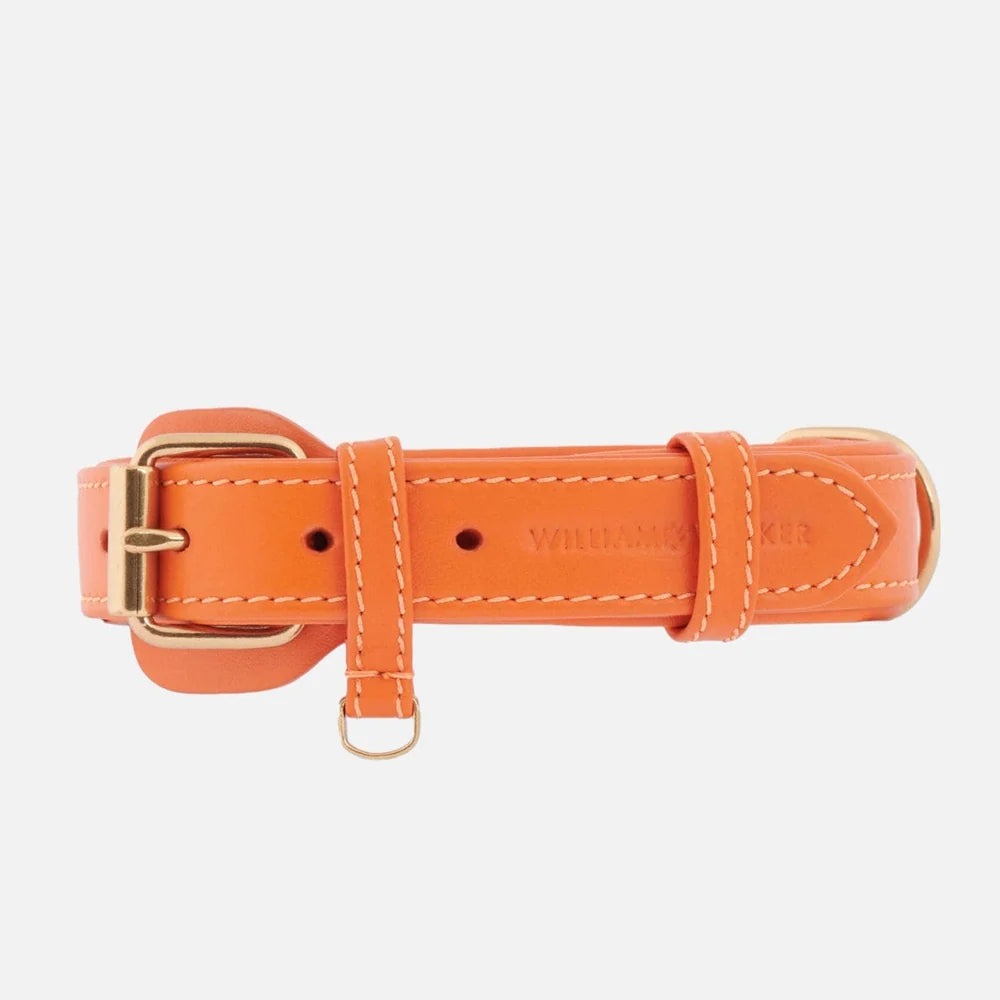 Plain Orange Halsbånd i skinn