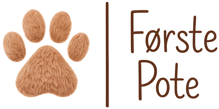 Første Pote