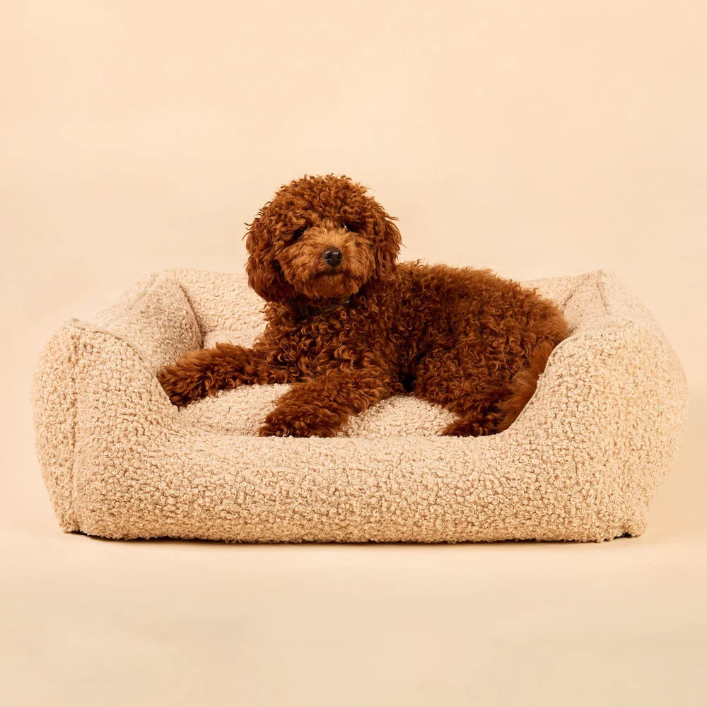 Ortopedisk hundeseng Cozy