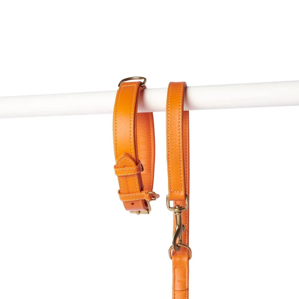 Plain Orange Halsbånd i skinn
