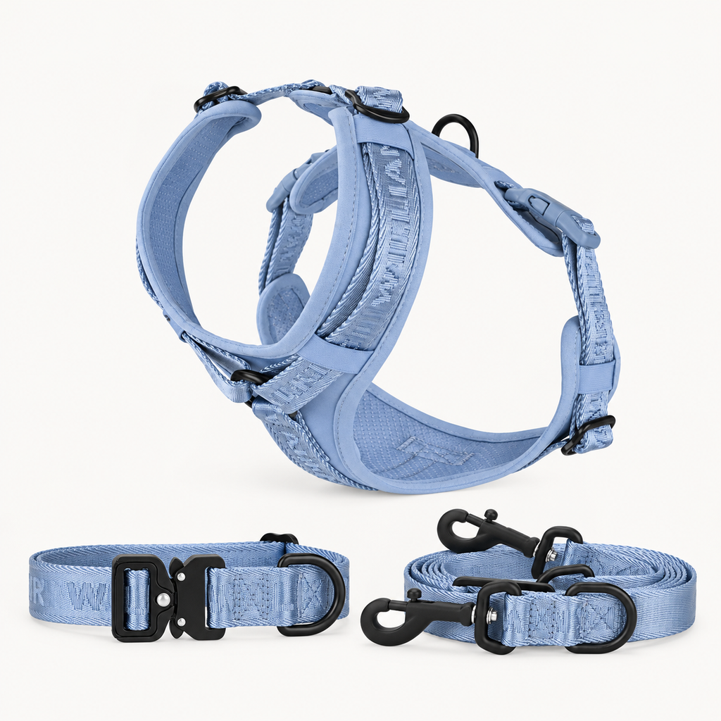 Apex Sky Bundle