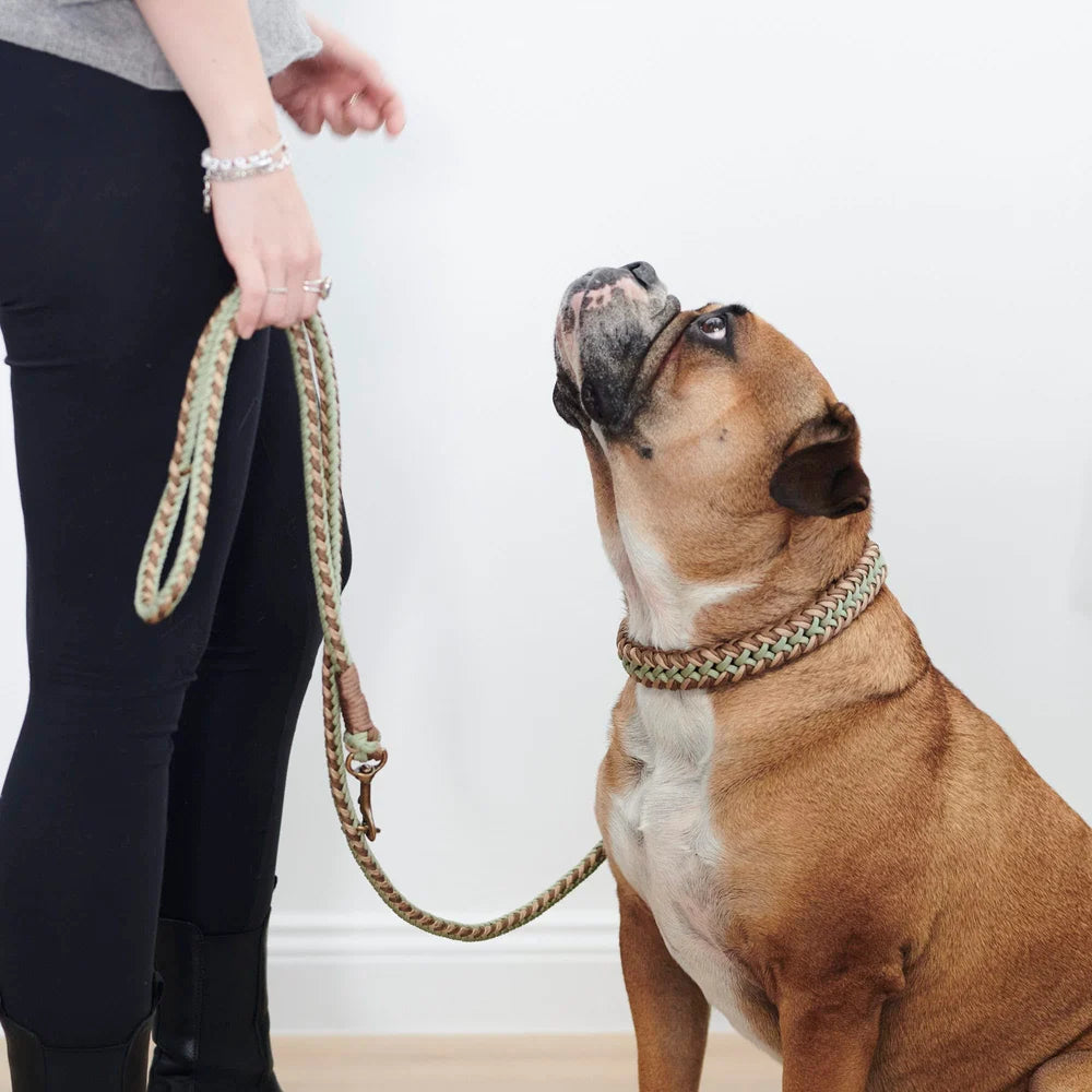 Paracord Shire Halsbånd