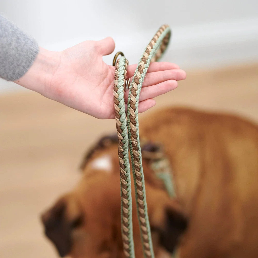 Paracord Shire Hundebånd