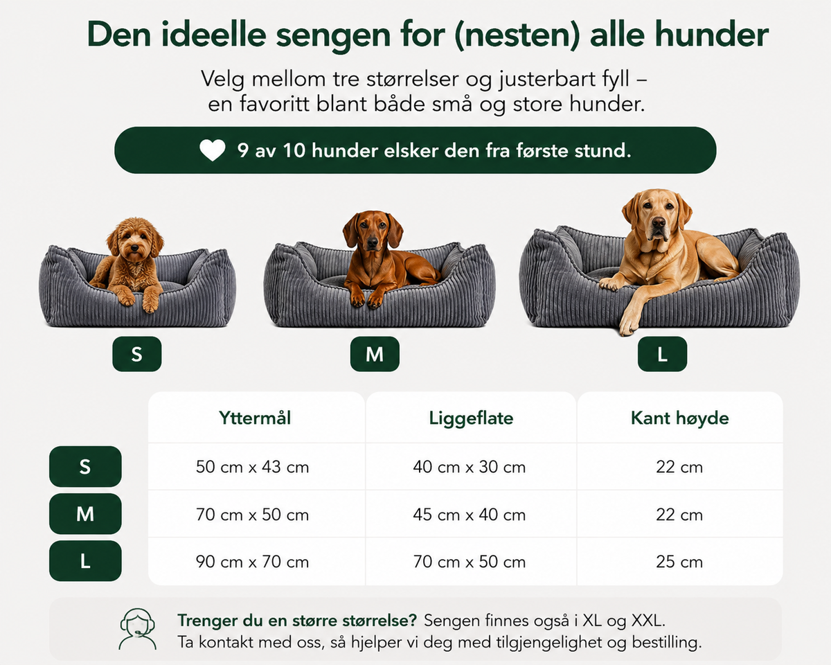 Ortopedisk hundeseng Cord Grå