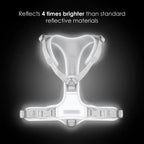 Apex Lunar (reflekterende) Bundle