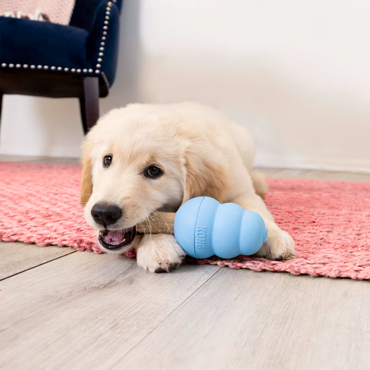 KONG Ziggies Enhanced Puppy S 198 g