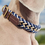 Paracord Hanseatic Halsbånd